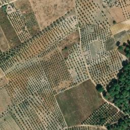 Satellite imagery of survey_point, PT