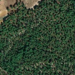 Satellite imagery of survey_point, PT