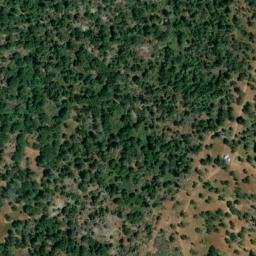 Satellite imagery of Lily Mine, US