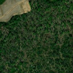 Satellite imagery of Wilson Bluff, US