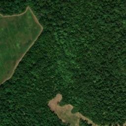 Satellite imagery of Haw Bluff, US