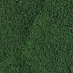 Satellite imagery of Walnut Hill Ridge, US