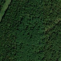 Satellite imagery of York Bluff, US