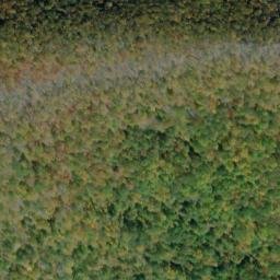 Satellite imagery of Chesnut Ridge, US