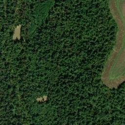 Satellite imagery of Woodall Bluff, US