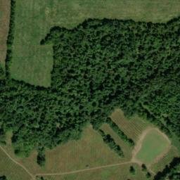 Satellite imagery of Woodall Bluff, US