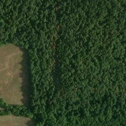 Satellite imagery of Pine Bluff, US