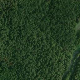 Satellite imagery of Pine Bluff, US