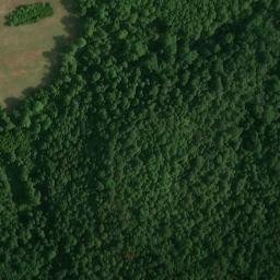 Satellite imagery of Pine Bluff, US