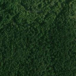 Satellite imagery of Pine Bluff, US