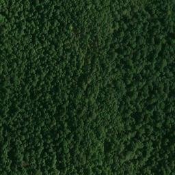 Satellite imagery of Fort Bluff, US