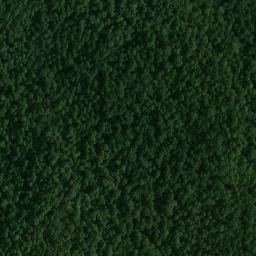 Satellite imagery of Fort Bluff, US