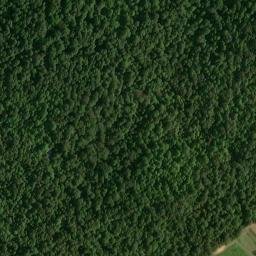 Satellite imagery of Fort Bluff, US