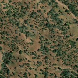 Satellite imagery of Carnation Mine, US