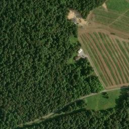 Satellite imagery of Fort Bluff, US