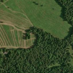Satellite imagery of Fort Bluff, US