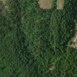 Satellite imagery of Ewing Ridge, US