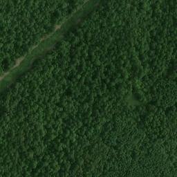 Satellite imagery of Ditney Ridge, US