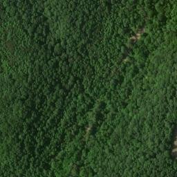 Satellite imagery of Ewing Ridge, US