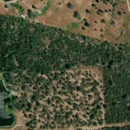 Satellite imagery of Carnation Mine, US