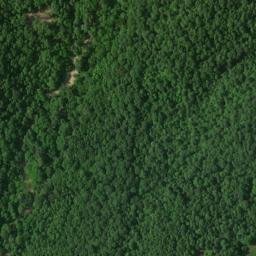 Satellite imagery of Ewing Ridge, US