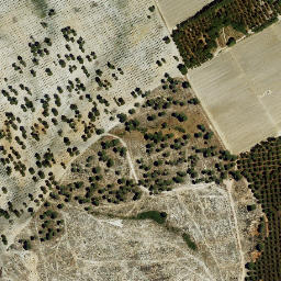 Satellite imagery of survey_point, ES