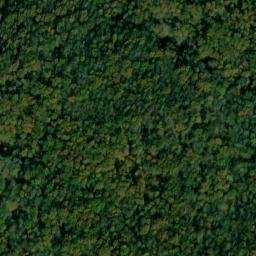 Satellite imagery of Collie Ridge, US