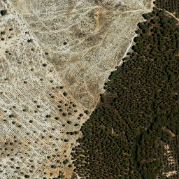 Satellite imagery of survey_point, ES