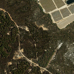 Satellite imagery of survey_point, ES
