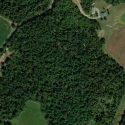Satellite imagery of Whitt Bluff, US
