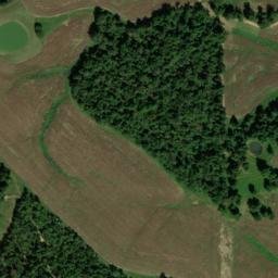 Satellite imagery of Whitt Bluff, US