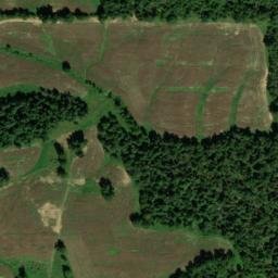 Satellite imagery of Whitt Bluff, US