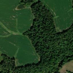 Satellite imagery of Pigmy Mines, US