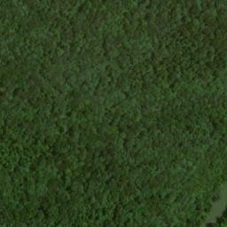 Satellite imagery of Nappers Rollover, US