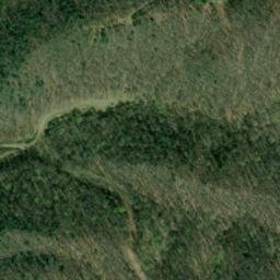 Satellite imagery of Fork Ridge, US