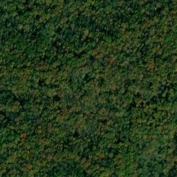 Satellite imagery of Collie Ridge, US