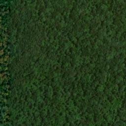 Satellite imagery of Nappers Rollover, US