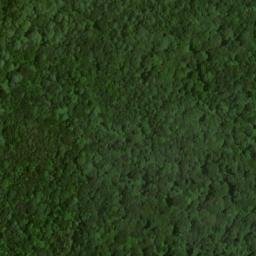 Satellite imagery of Nappers Rollover, US
