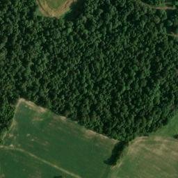 Satellite imagery of Nelson Ridge, US