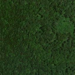 Satellite imagery of Nappers Rollover, US