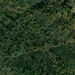 Satellite imagery of Pine Bluff, US