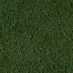 Satellite imagery of Flint Ridge, US