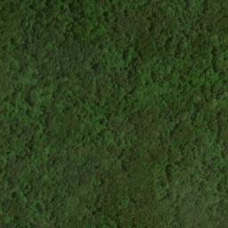 Satellite imagery of Flint Ridge, US