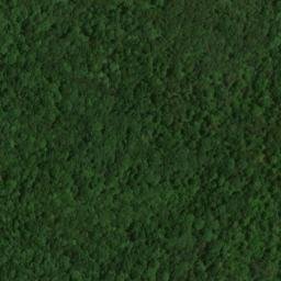 Satellite imagery of Flint Ridge, US