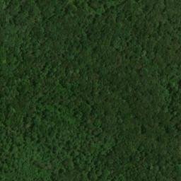 Satellite imagery of Flint Ridge, US