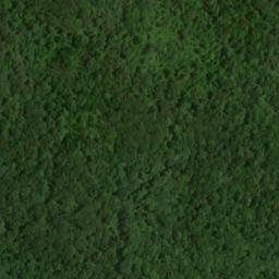 Satellite imagery of Flint Ridge, US