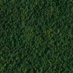 Satellite imagery of Black Sulphur Ridge, US