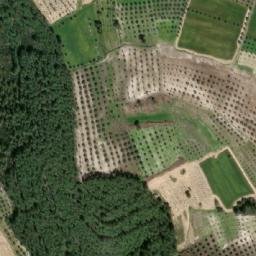 Drone Görünümü