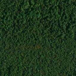 Satellite imagery of Black Sulphur Ridge, US