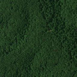 Satellite imagery of Dickerson Ridge, US